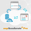 Picture of nopAccelerate Plus Pro