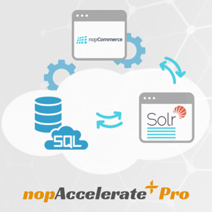Picture of nopAccelerate Plus Pro